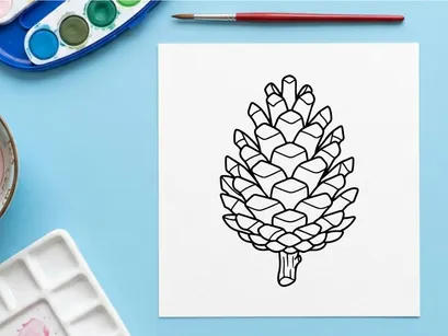Close-up of a pine cone on a white background. Natural botanical detail for nature or craft projects.