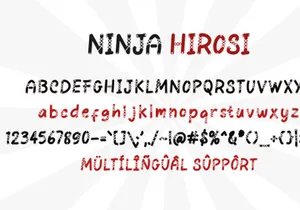 Ninja Hirosi