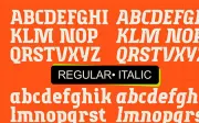 Runzoe – Modern Sans Serif Display Typeface