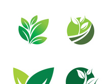 Logos of green tree leaf ecology nature element vector
