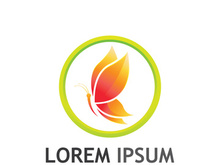 Beautiful and colorful butterfly creative logo design.