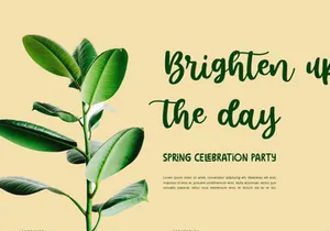 Sunshine - Script Font