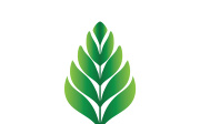 Leaf logo