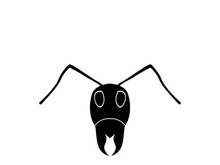 ant head logo