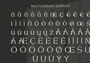 Queen Consort - Serif Font