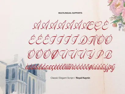 Royal Kaynin | Classic Elegant Script