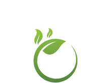 Logos of green Tree leaf ecology nature element vector