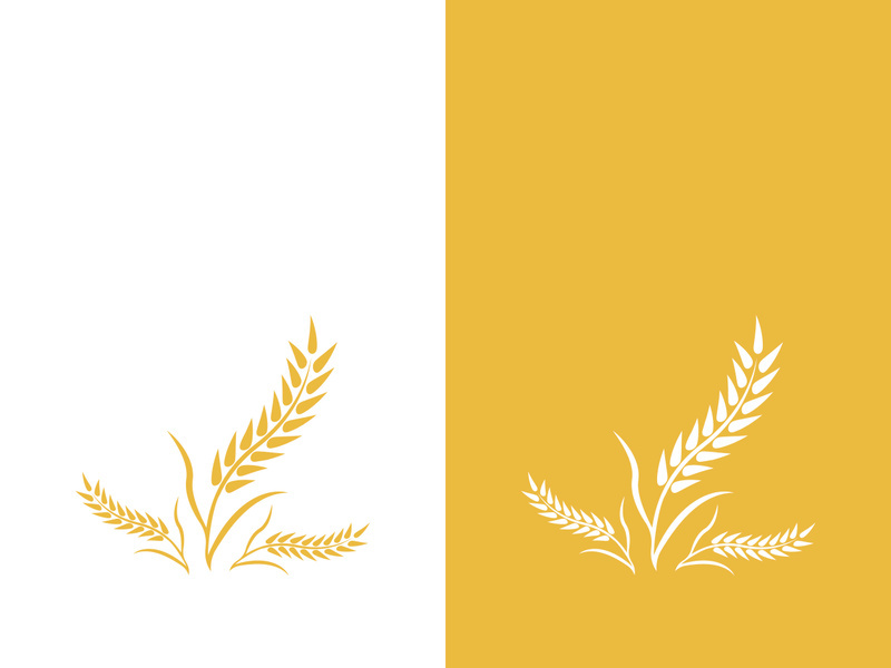 Wheat logo vector icon illustration design