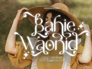 NCL BAHIE WAONID - STYLISH TYPEFACE preview picture