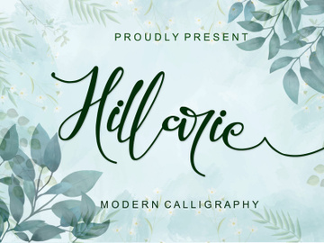 Hillarie - Modern Calligraphy Font preview picture
