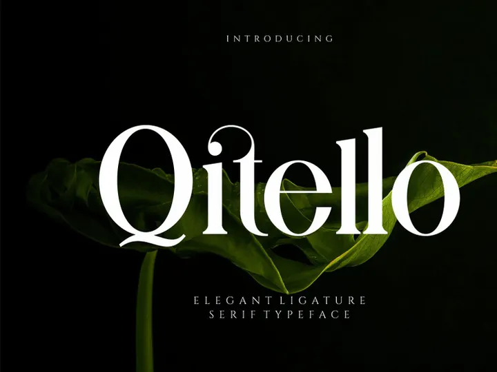 Qitello Ligature Serif Typeface