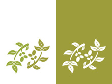 olive icon vector illustration design template