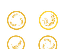 Wheat logo vector icon illustration design