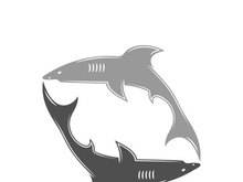 Shark illustration logo template vector