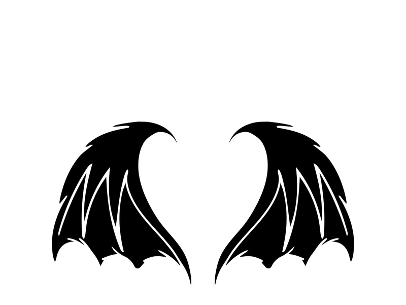 wing logo symbol for a professional designer