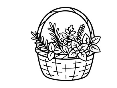 Kräuter-Linie in Strichzeichnung. Handgezeichnete Illustration aromatischer Gartenpflanzen.