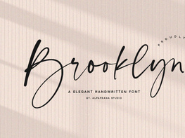 Brooklyn - Handwritten Font preview picture