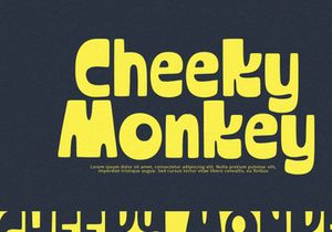 TinyTigra - Display Font