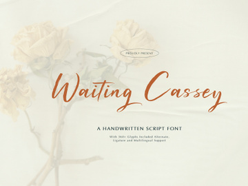 Waiting Cassey | Handwritten Script Font preview picture