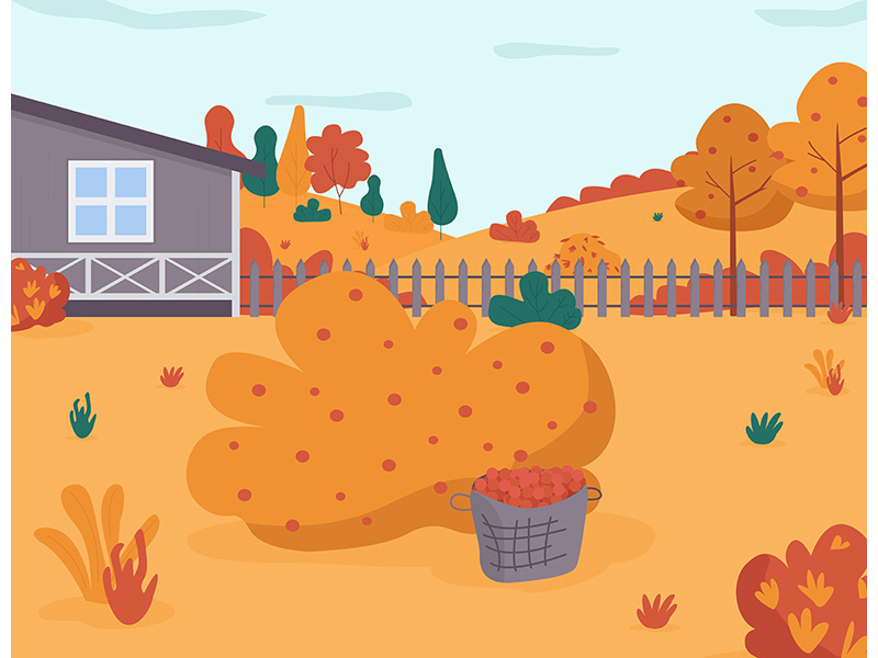 Autumn garden crop semi flat vector illustration