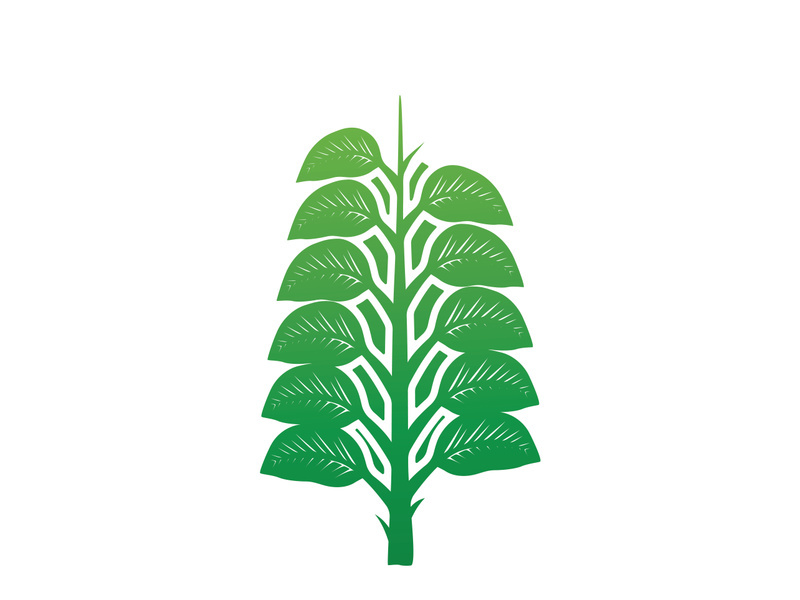 Leaf logo