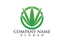 Aloe vera logo vector ilustration template