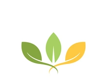 Logos of green Tree leaf ecology