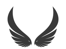 Wings logo