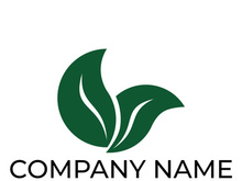 Green leaf logo design vector illustration