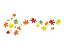 Maple Leaf design illustration