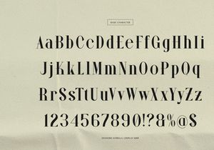 Wonder Astrella | Modern Display Serif