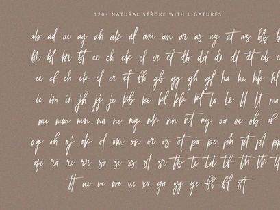 Selestia Signature - Handwritten Font