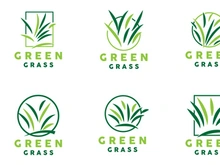 Green Grass Logo, Nature Plant Vector