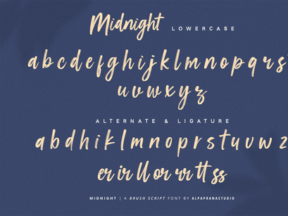 Midnight - Brush Script Font