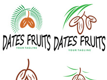 Date palm fruit plant logo design with leaves,seeds and date palm tree isolated background exotic organic plant.