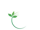Leaf logo