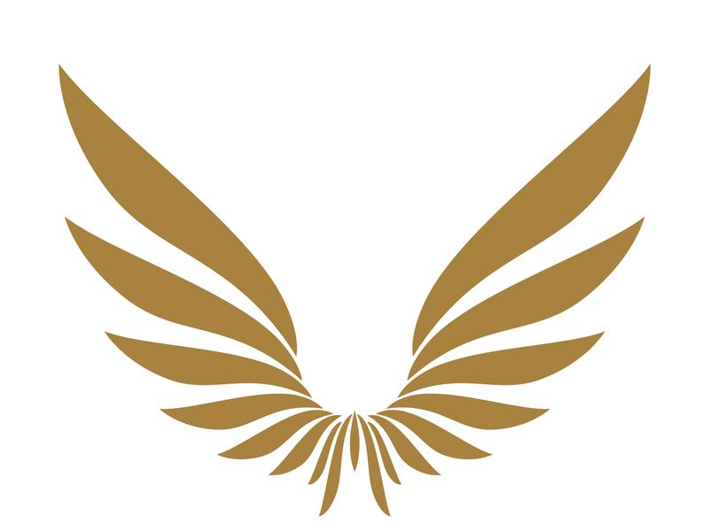 Wings logo