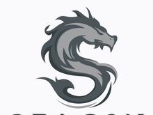 Dragon logo art illustration