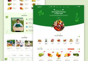 Organia - Organic & Food Store XD Templete