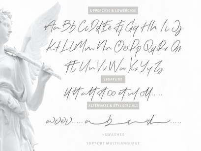Black Angel Natural Signature Script
