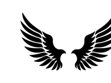 black bird wing logo vector