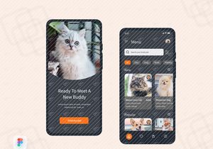 Pets Lovers App Design