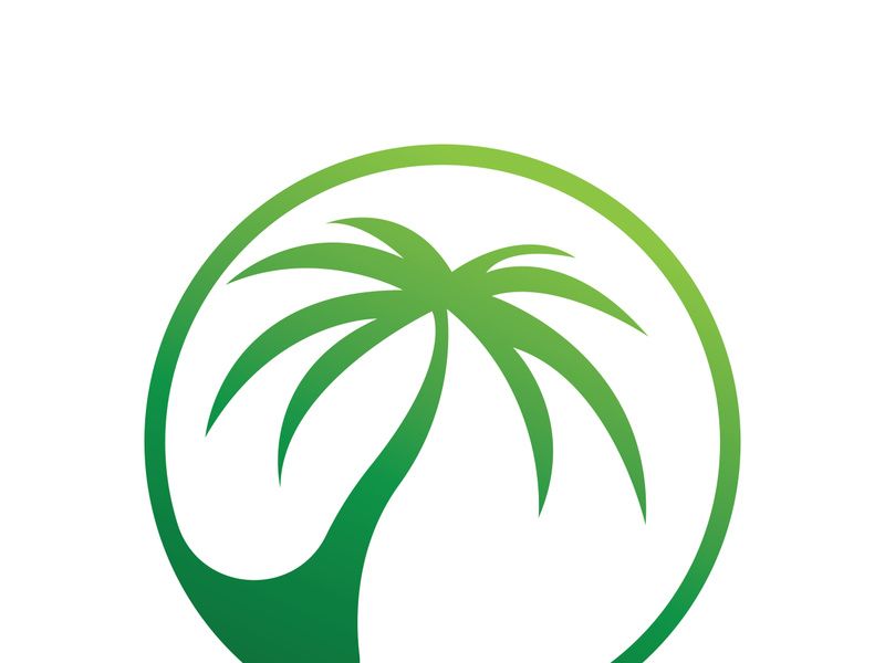Palm tree summer logo template vector illustration