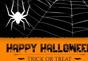 Spider Webs