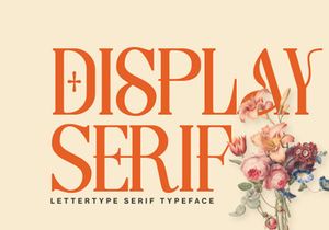 Lettertype – Editorial 90s Serif Font with Alternates
