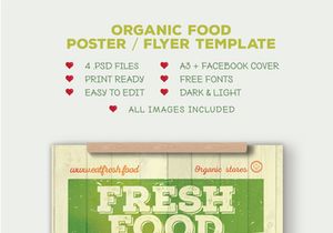 Organic Food Poster/Flyer - Bicycle with vegetables