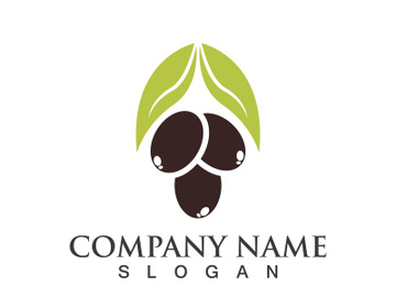 Extra virgin olive oil logo icon design vector illustration preview picture