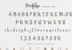 Partridge - Playful Font