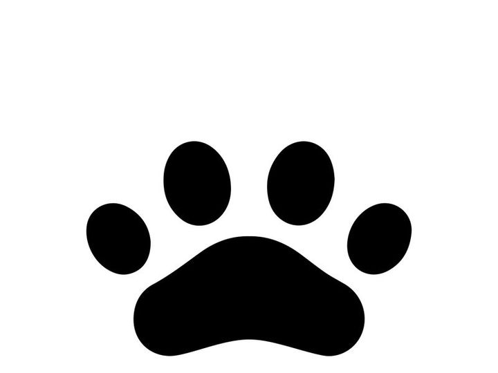Minimal Dog Paw Print Logo