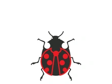 ladybird animal  vector logo symbol icon